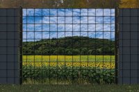 Sonnenblumen Bäume Feld Motivsichtschutz zaunblick zb221-015 A