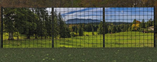 Sichtschutzzaun Berglandschaft Huette Waldstueck Panorama zaunblick zp004 A